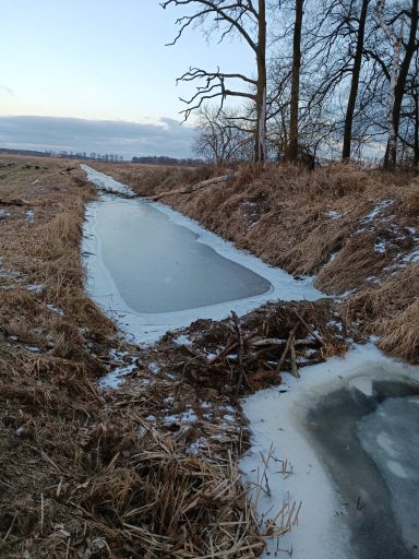 Eingefrorenes Gewässer in einer Landschaft mit trockenen Grasflächen und Bäumen.