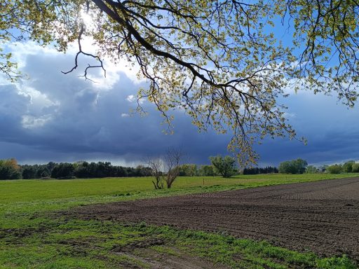 Ein Gewitter zieht auf, dunkel ist der Himmel