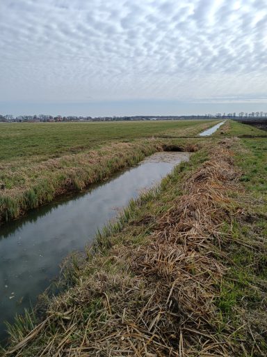 Wasserhochstand im Meliorationsgraben