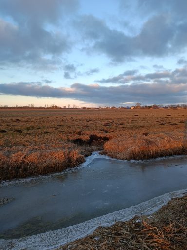 Weggesackter Boden am Entwässerungsgraben - eine Biberhöhle